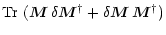 $\displaystyle \mbox{Tr}\ ( \vec{M}\,\delta\vec{M}^{\dagger}+ \delta\vec{M}\,\vec{M}^{\dagger})$