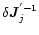 $\delta\vec{J}{_{j}^{'-1}}$