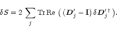 \begin{eqnarray*}\delta S = 2\, \sum_{j \vphantom{'}}\mbox{Tr\,Re\ }\big(\, ( \v...
...bf{I}) \,\delta \vec{D}'_{j \vphantom{'}}{^{\dagger}} \,\big) .
\end{eqnarray*}
