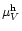 $\mu_V^{ \mathrm{h}}$