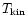 $T_{\rm {kin}}$