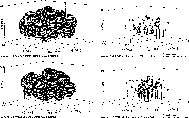 \begin{figure}\includegraphics[]{1766f8.eps} \end{figure}