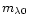 $m_{\lambda0}$