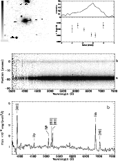 \begin{figure}
\psfig{figure=ds9496f2.eps,angle=0,width=18cm,height=22cm}\end{figure}