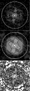 \begin{figure}
{\epsfxsize=5.2cm\epsfbox{ds9553f3a.eps}}
{\epsfxsize=5.2cm\epsfbox{ds9553f3b.eps}}
{\epsfxsize=5.2cm\epsfbox{ds9553f3c.eps}}
\end{figure}