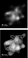 \begin{figure}
{\epsfxsize=5.2cm\epsfbox{ds9553f9a.eps}}
{\epsfxsize=5.2cm\epsfbox{ds9553f9b.eps}}
\end{figure}