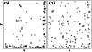 \begin{figure}
\includegraphics[width=9cm]{cleand.eps}\end{figure}