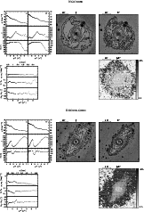 \begin{figure}\includegraphics[width=16cm,clip]{ds1865_fig4.ps}\addtocounter{figure}{-1}\end{figure}