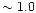 $\sim 1.0$