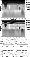 \begin{figure}\par\includegraphics[angle=-90,width=8.7cm]{t13_mer.ps}\hspace{1mm...
...mm}
\includegraphics[angle=0,width=4cm]{t14_li.ps}\hspace{1mm}
\par
\end{figure}