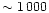 $\sim 1\,000$